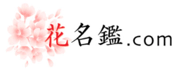 TOPへ